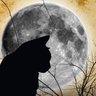 Фото профиля El Gato Negro