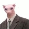 KT5_EREN's profile picture