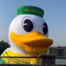 OklaDuckGirl ๐๐๐ฆ's profile picture