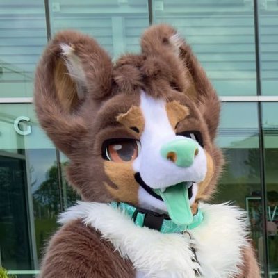 lowered tail sniffer's profile picture