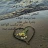 حكيم صنعاء 的头像