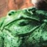 no's profile picture