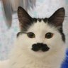 Francisco Sobrinho's profile picture