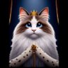 Фото профиля Ci_crypto KGeN (✸,✸)