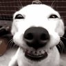 Dr Shox's profile picture