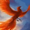 Profilbild von Fenice