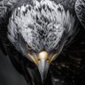 Profilbild von W