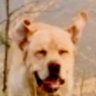 Profilbild von THO76