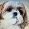 SUNNY's profile picture