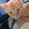 jimatean(じまちゃん) profil fotoğrafı