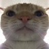 ima gitu's profile picture