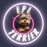 FPL Terrier's profile picture