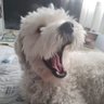 Profilbild von Andy