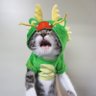 TAM*A's profile picture