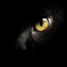 Black Cat's profile picture