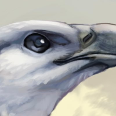 Navy_gull's profile picture