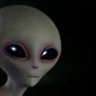 jlshems's profile picture