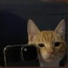 Pablo's profile picture