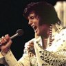 Фото профиля Elvis