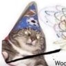 Profilbild von Gray cat