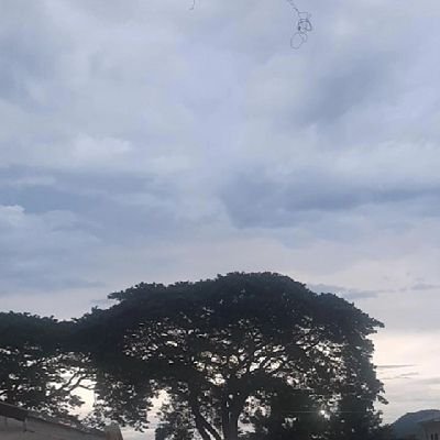 501's profile picture