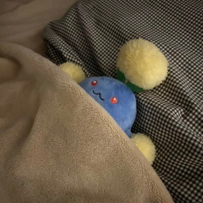 室内飼いのワタッコ's profile picture