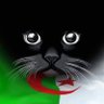 Profilbild von جزائري🇩🇿🇵🇸🇪🇭