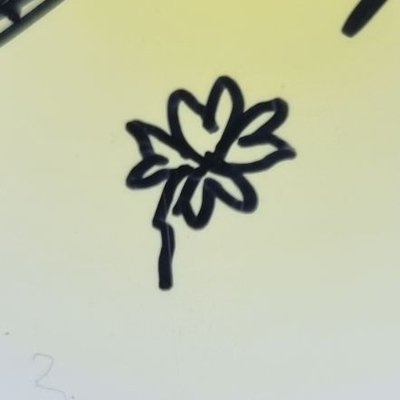 쪠's profile picture