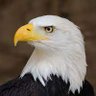 Legit168 profil fotoğrafı