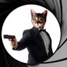 стал невесомым's profile picture