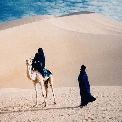 Sahel_Tales's profile picture