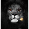 Profilbild von Aslan Hesabı