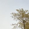 rkcsnz.bsky.social's profile picture