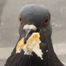 Profilbild von Luna