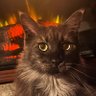 Profilbild von Kay