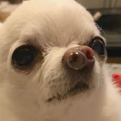 marce's profile picture