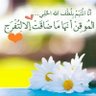 Salim's profile picture