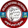 Meer Kiyya's profile picture