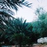 Profilbild von سفر الهذلي