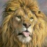 Richard Beck's profile picture