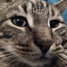 Tracy Barber's profile picture