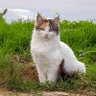 raimu profil fotoğrafı