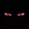 mazen kalaas's profile picture