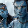 Avatar 的头像