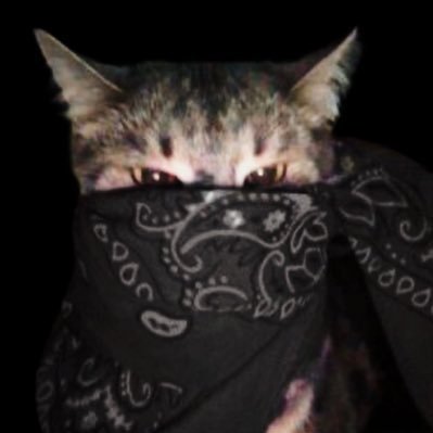 gotyacat's profile picture