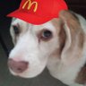 Profilbild von ComunistaCosmico