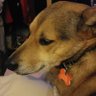 vicki wolf's profile picture