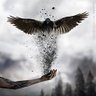 Фото профиля Souls of Crypto