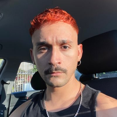 2.0 לייבעל 🆓🇵🇸's profile picture