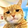 Profilbild von Asion